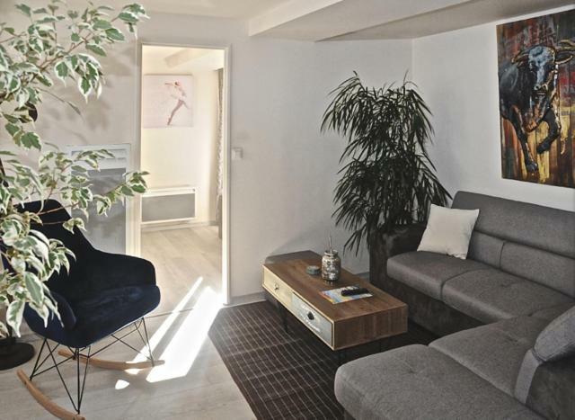 Gite, Location Meuble De Tourisme 3 Etoiles Châtillon-Coligny Εξωτερικό φωτογραφία